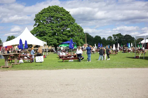 tent, event, public space, recreation, summer, leisure