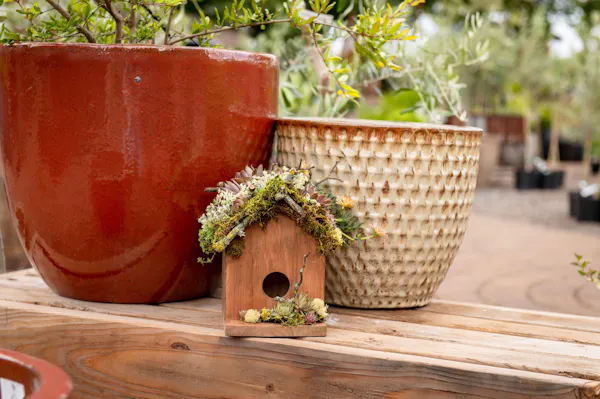 flowerpot, pottery, houseplant, stoneware, basket