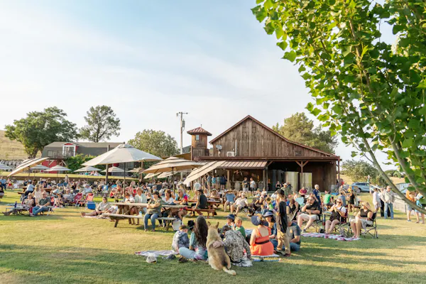recreation, leisure, spring, pole, crowd, lawn