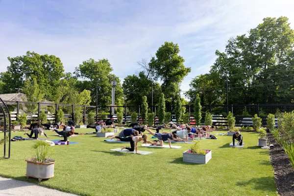 public space, shrub, recreation, garden, leisure, groundcover