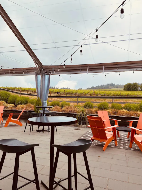 plant, sky, furniture, wood, table, outdoor table