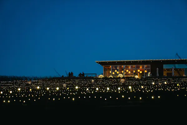 sky, building, electricity, midnight, city, event