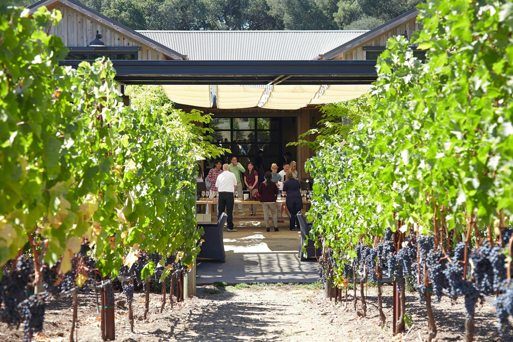 Kenzo Estate - Napa, CA | Tock