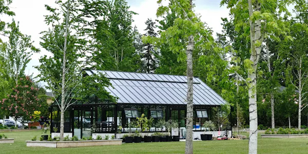 groundcover, shade, garden, outdoor structure, landscaping, yard
