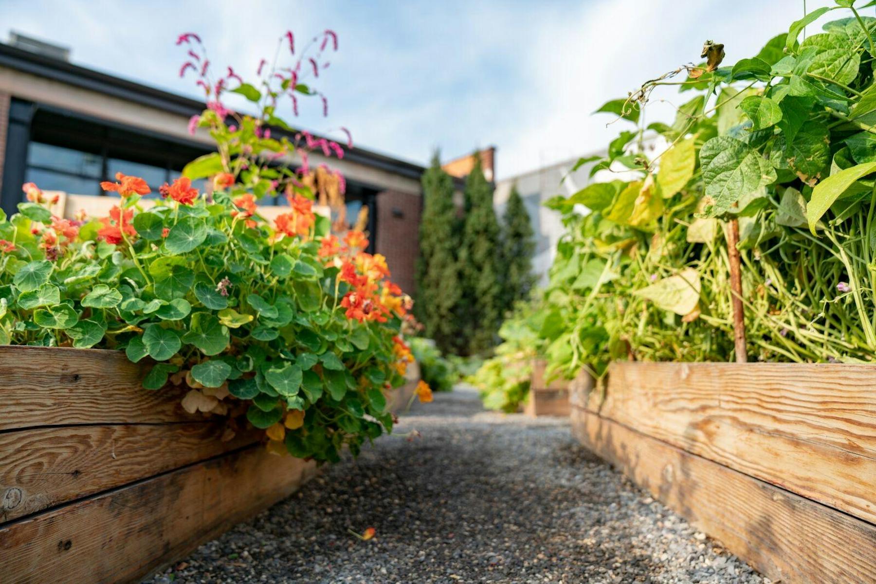 Table X Salt Lake City, UT Tock