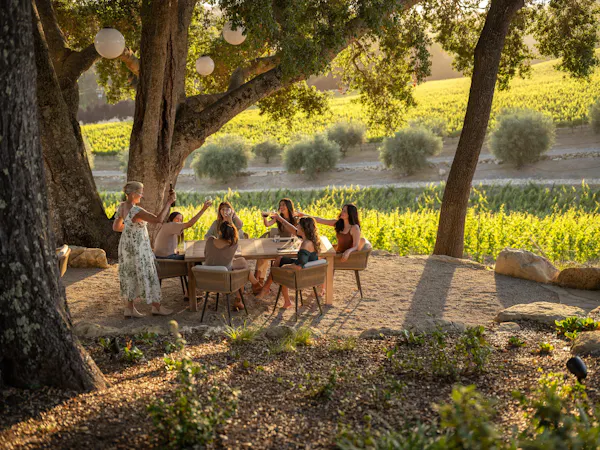 tree, trunk, outdoor furniture, spring, shade, garden
