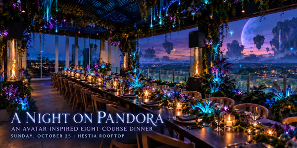 lighting, night, restaurant, midnight, ceremony