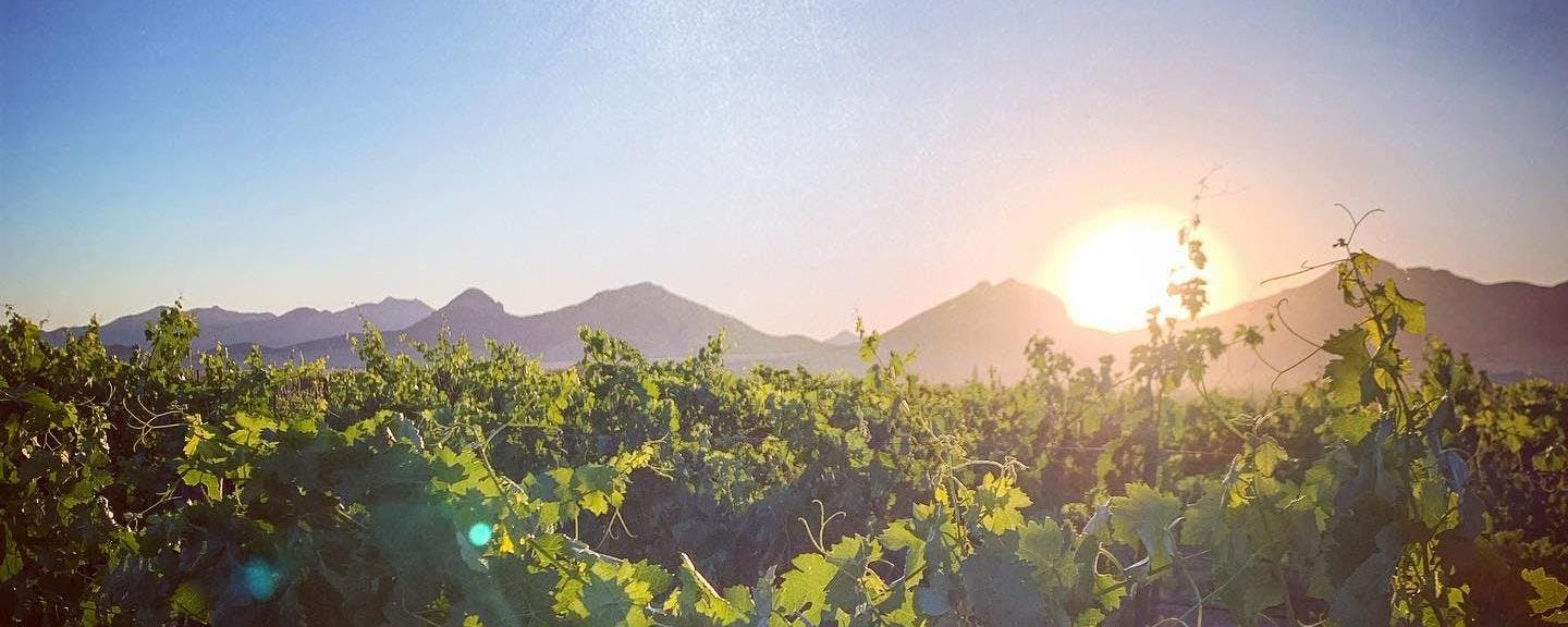 Dos Cabezas WineWorks + Pronghorn Pizza