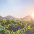 Dos Cabezas WineWorks + Pronghorn Pizza