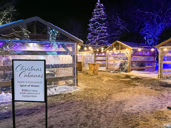 winter, night, lighting, christmas lights, electricity, snow