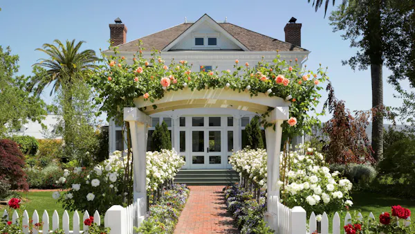 flower, plants, shrub, garden, house, column