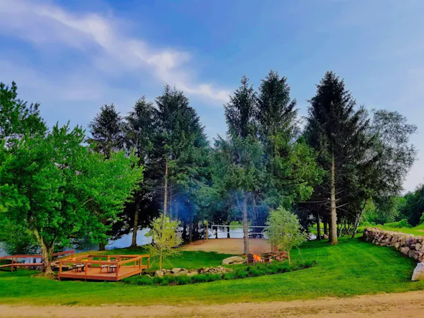 tree, garden, park, landscaping, evergreen, botanical garden