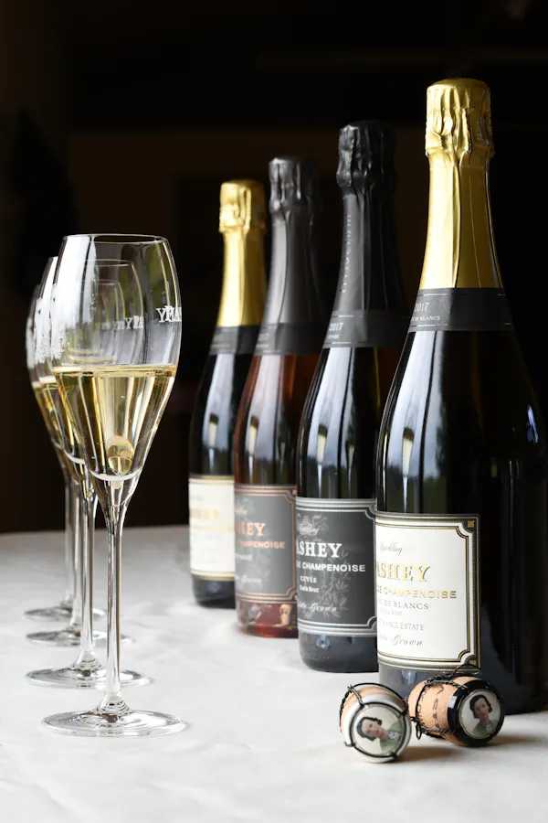 alcoholic drink, bottle, alcohol, liquid, barware, wine