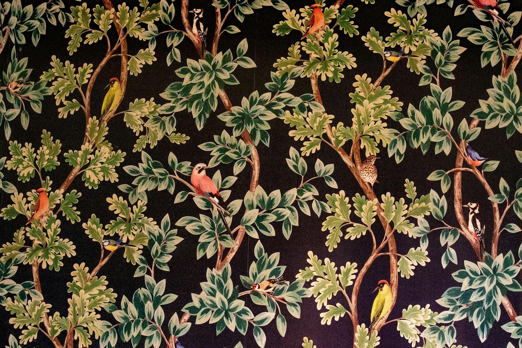 Starling Edina, MN Tock