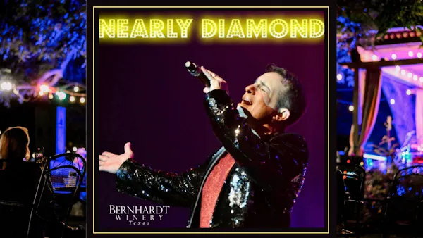 entertainment, performing arts, event, performance, microphone stand, music venue