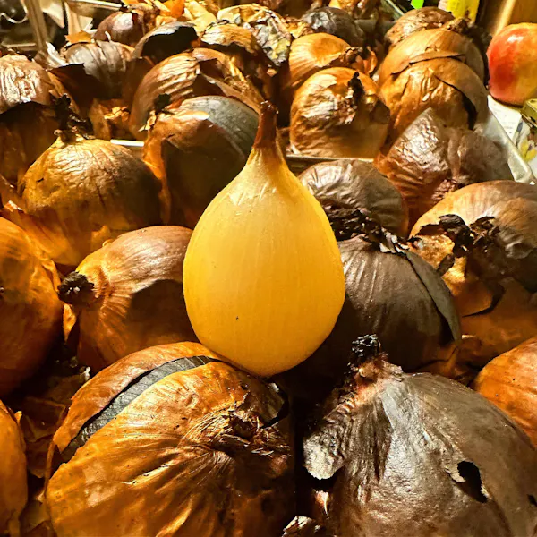food, ingredient, produce, natural foods, vegetable, bulb