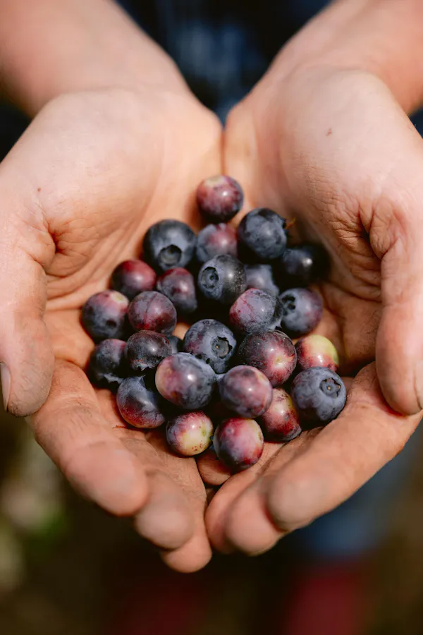 produce, fruit, finger, berry, food, nail