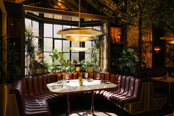 light fixture, restaurant, ceiling, chandelier