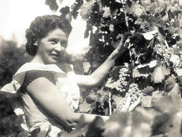 vintage clothing, black and white, retro style, day dress, grapevines