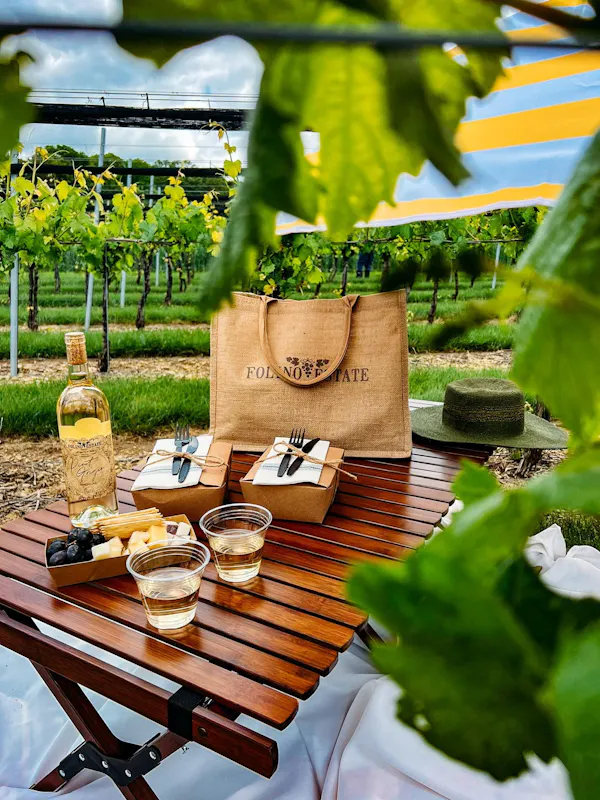 basket, food, fruit, produce, grapevines, picnic basket