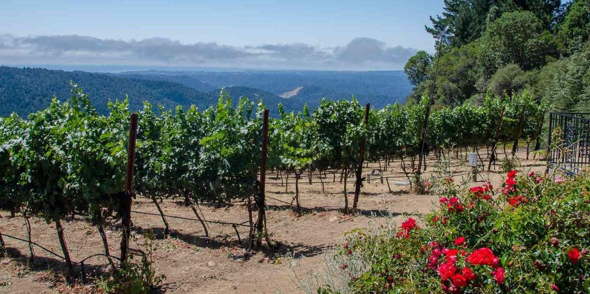 Noble Riot Wine Bar Denver, CO Tock