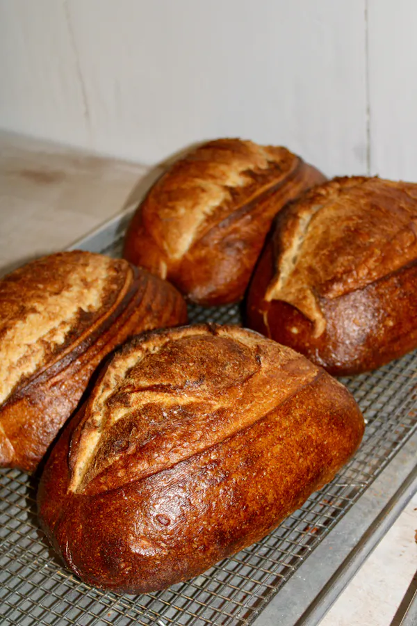 food, ingredient, bread, gluten, baking, recipe