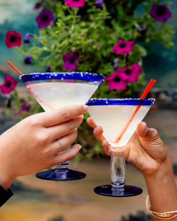 tableware, martini glass, alcoholic drink, food, cocktail garnish, cocktail