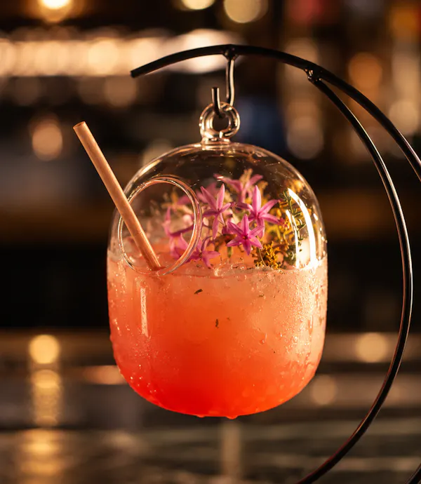 tableware, cocktail, alcoholic drink, glass, classic cocktail, fruit