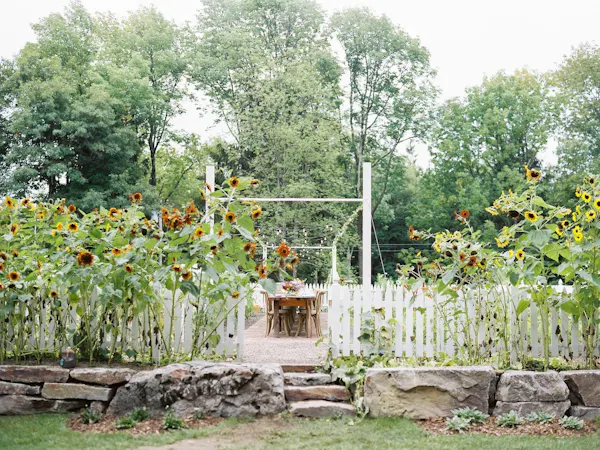 tree, garden, plant, botany, wall, grass