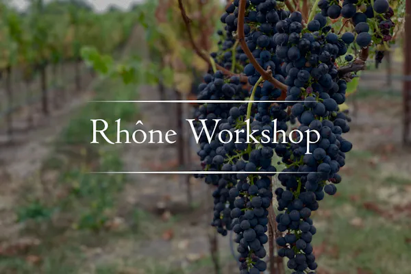 agriculture, grapes, grapevines, vineyard, plantation