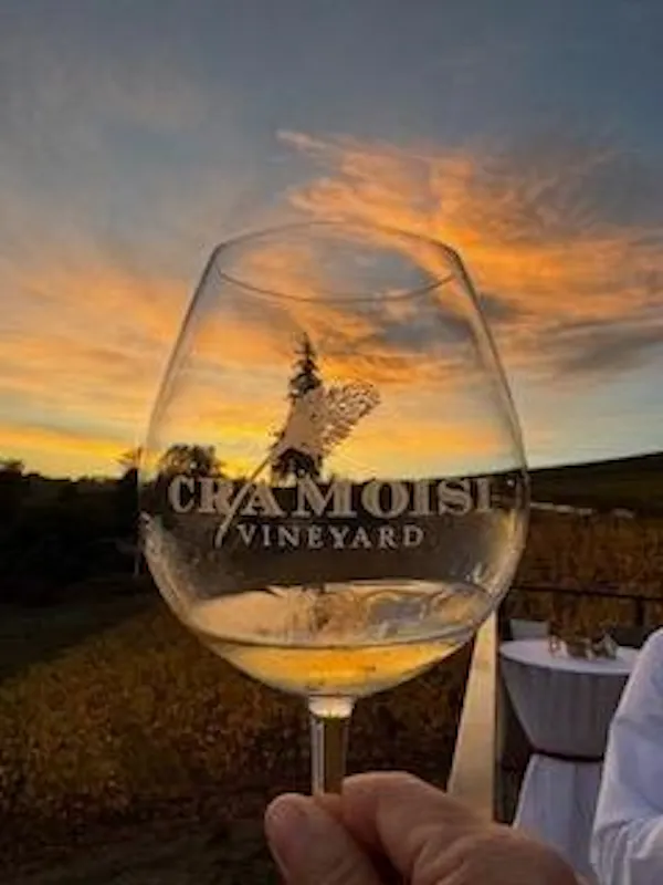 barware, alcoholic drink, drinkware, stemware, alcohol, wine glass