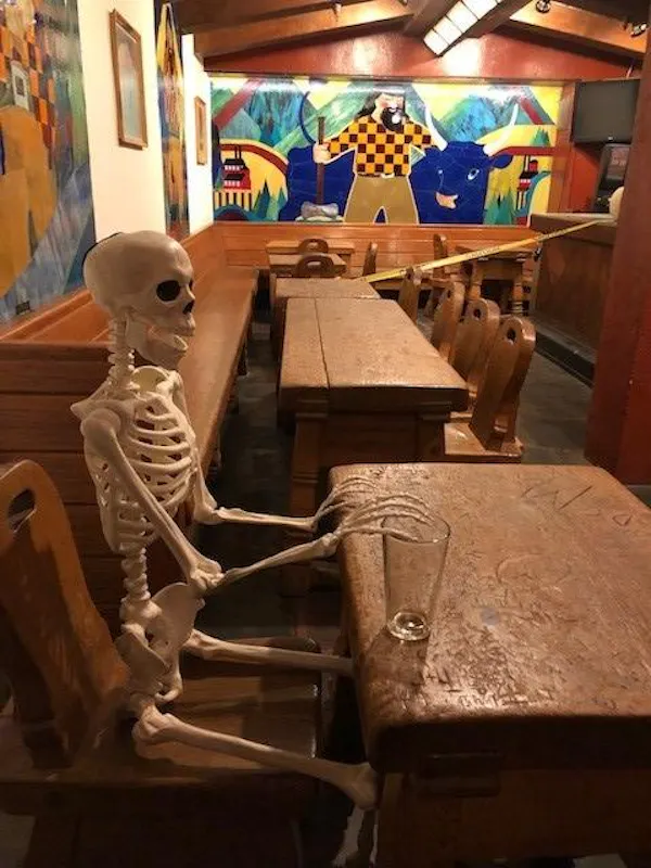 wood, furniture, bone, wood stain, skull, hardwood