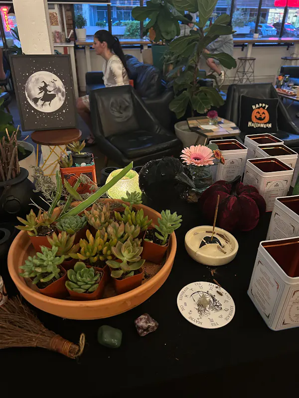 flowerpot, houseplant, succulent plant, floral design, cactus