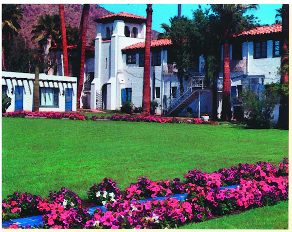 plant, flower, nature, building, tree, grass