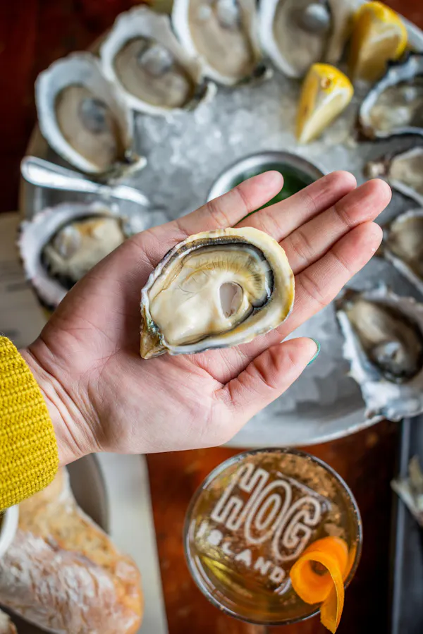 oyster, food, seafood, bivalvia, shellfish, seashell