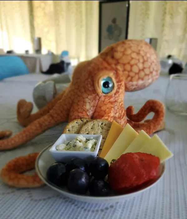 food, tableware, octopus, ingredient, cephalopod, common octopus