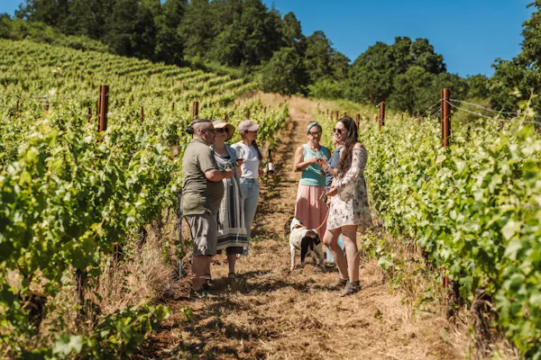 agriculture, plantation, people in nature, field, crop, vineyard