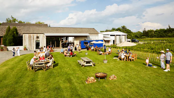 leisure, recreation, lawn, chair, park, umbrella