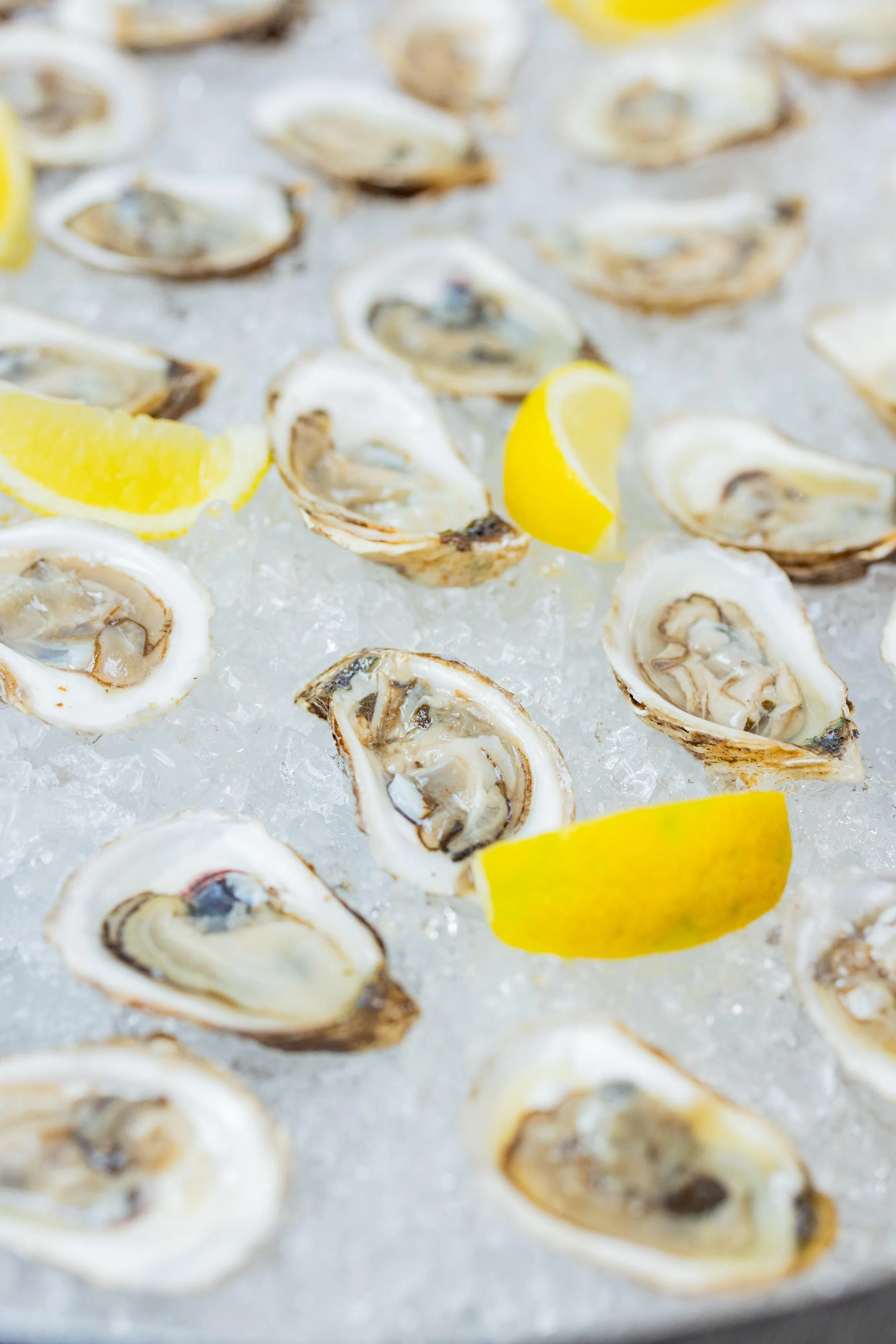 Image of Fête de la Musique showing food, ingredient, seafood, lemon, recipe, and citrus