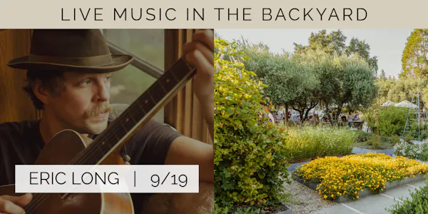 plucked string instrument, string instrument, chordophone, guitarist, guitar, musical instrument