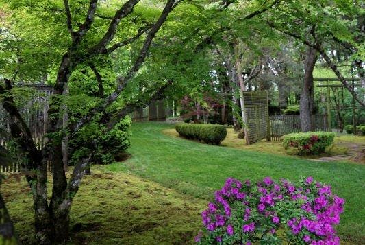 Torii Mor Winery - Dundee