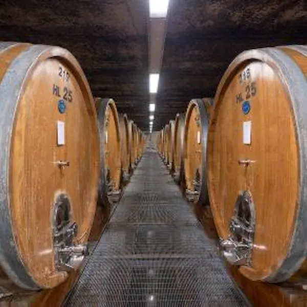 barrel, winery, wine cellar, brewery, hardwood, mass production