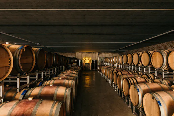 barrel, winery, wine cellar, mass production, gas, brewery