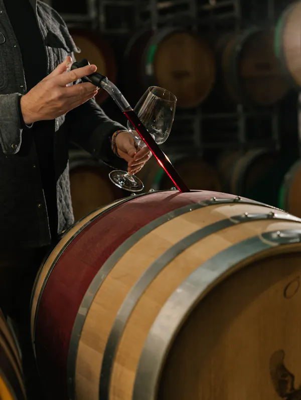 barrel, winery, wine cellar, keg, brewery