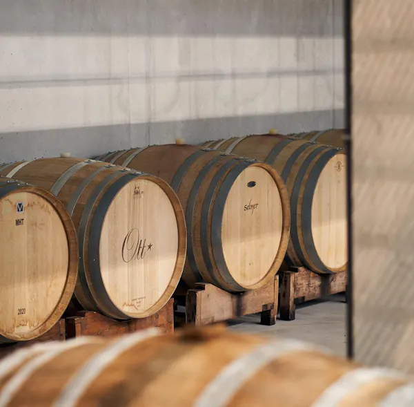 barrel, winery, hardwood, wine cellar, wood stain