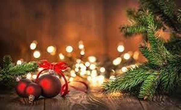 plant, christmas ornament, branch, christmas tree, evergreen, christmas decoration
