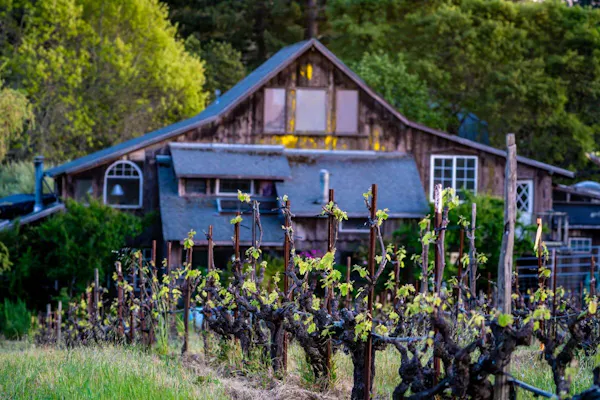 house, cottage, rural area, estate, plantation, yard