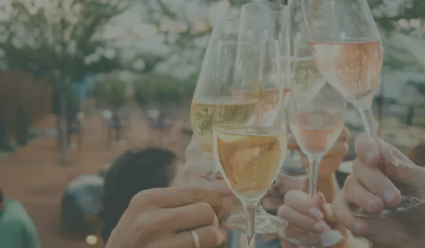 alcoholic drink, drinkware, tableware, stemware, liquid, champagne