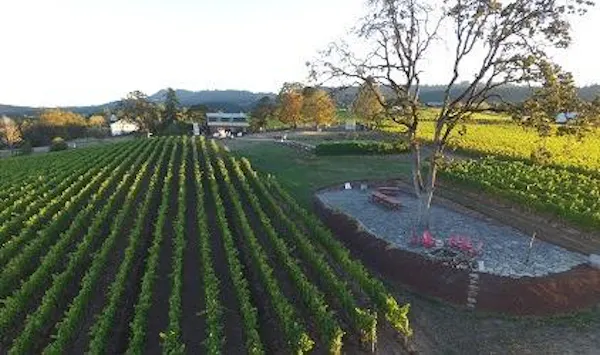 agriculture, plantation, land lot, field, crop, vineyard