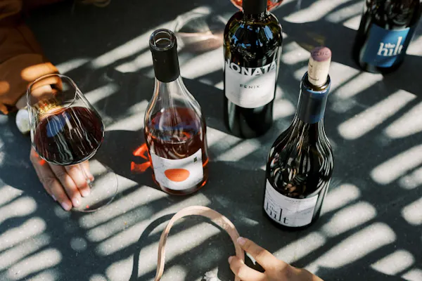 bottle, alcoholic drink, glass bottle, alcohol, liquid, wine bottle